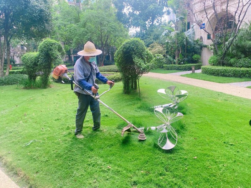 绿植的绿色魅力：现代办公空间的新风尚